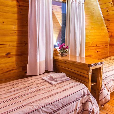 Brillos Patagonicos El Calafate Eksteriør billede